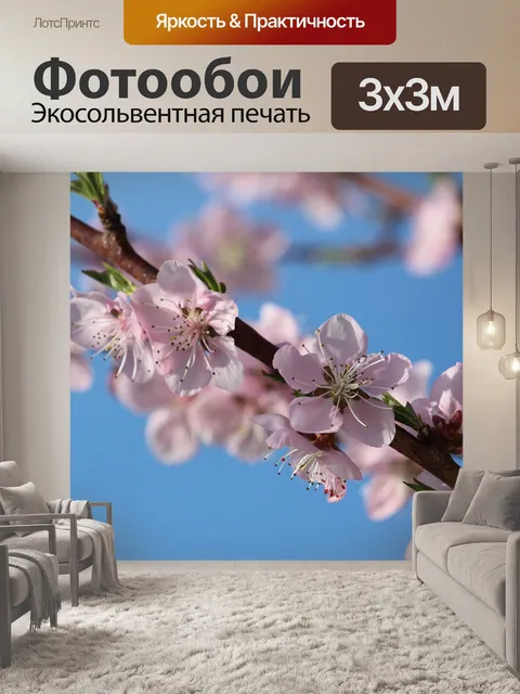 Фотообои Персиковый цвет