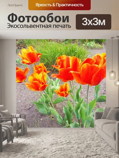 Фотообои Садовые цветы