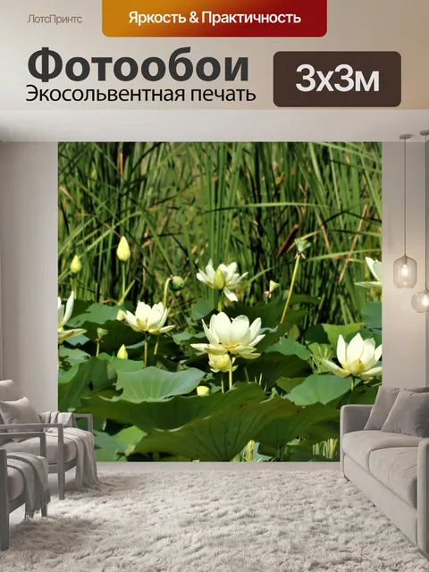 Фотообои Цветы лотоса и лилии