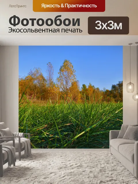 Фотообои Трава