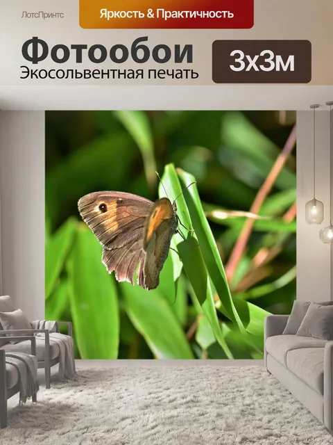 Фотообои Бабочка