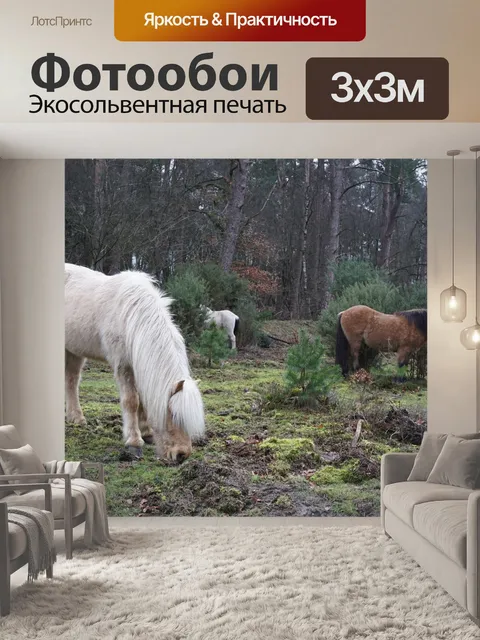 Фотообои Лошадь