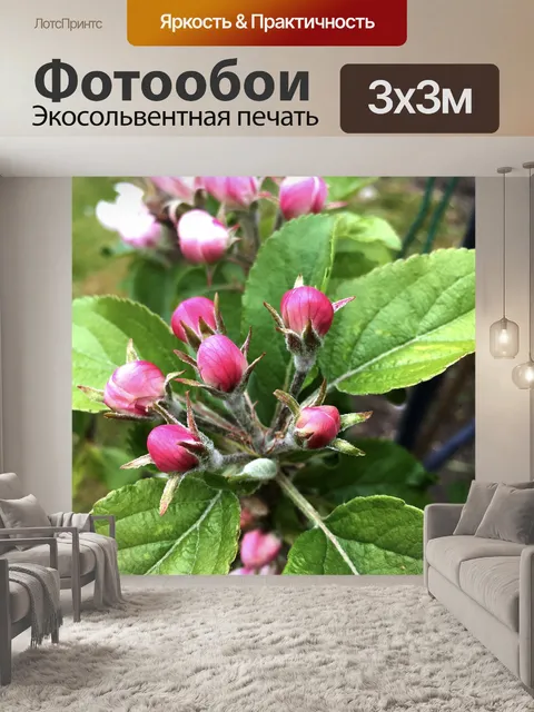 Фотообои Весна