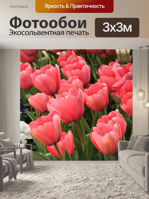 Фотообои Ряд розовых тюльпанов