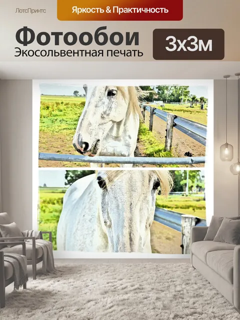 Фотообои Опираясь на лошадях