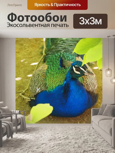Фотообои Птицы