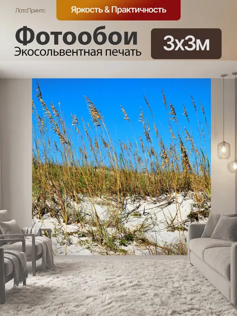 Фотообои Морские овсы