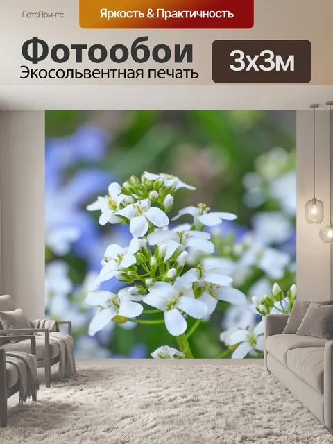 Фотообои Цветы