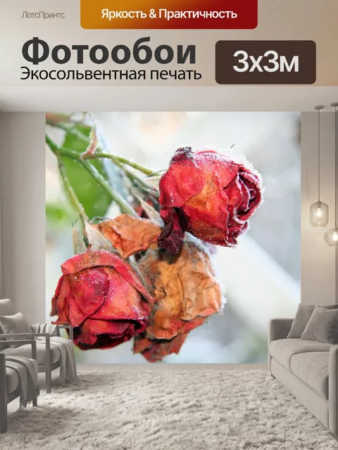 Фотообои Розы