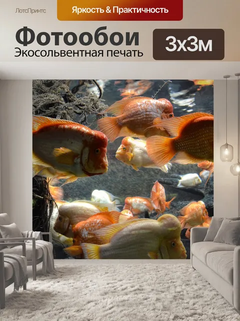 Фотообои Рыбы