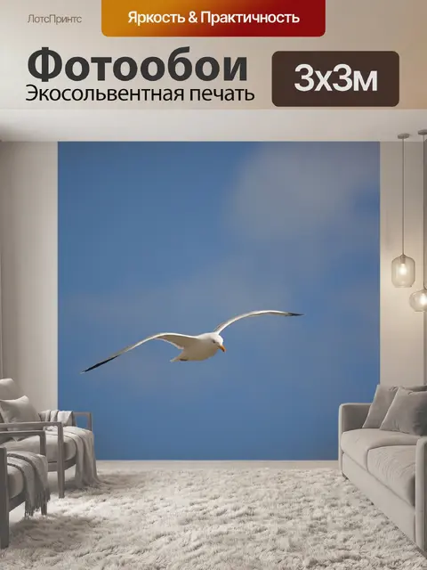 Фотообои Полет чайки
