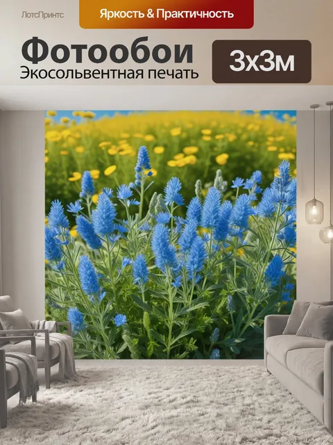 Фотообои провансальская трава и цветы под ярким голубым небом