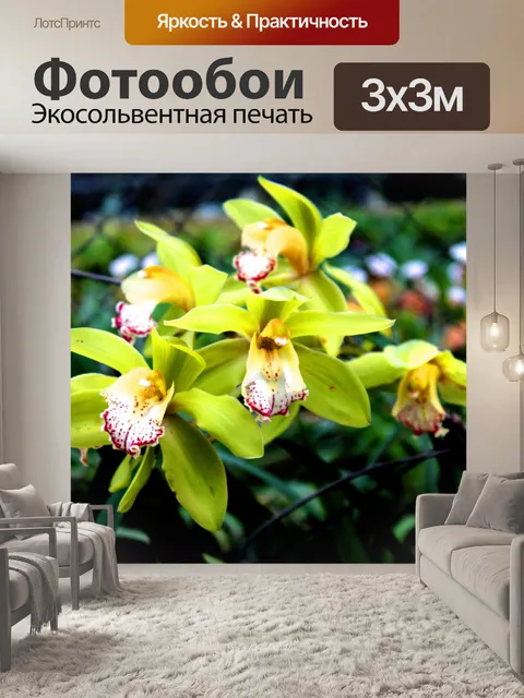 Фотообои Леди тапочка Орхидея Интанон Националь