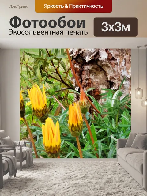 Фотообои Полевые цветы