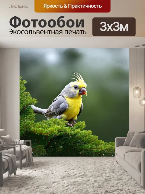 Фотообои попугай корелла наслаждается утренней росой, сидя на зеленом лесном кустарнике