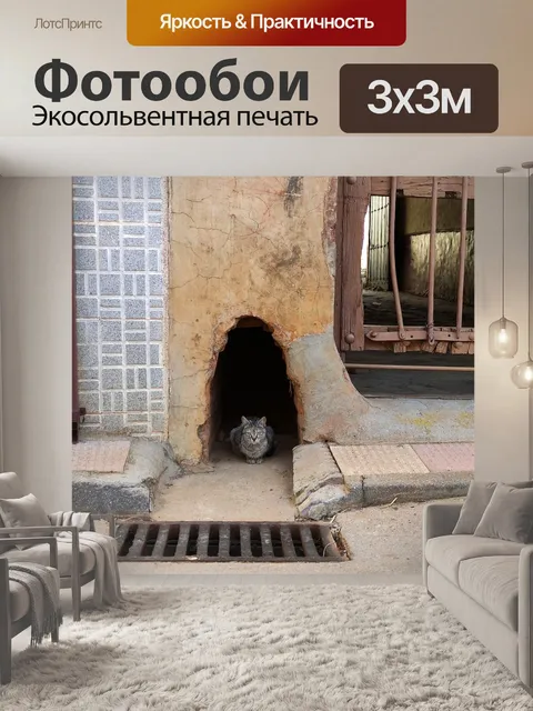 Фотообои Кошка