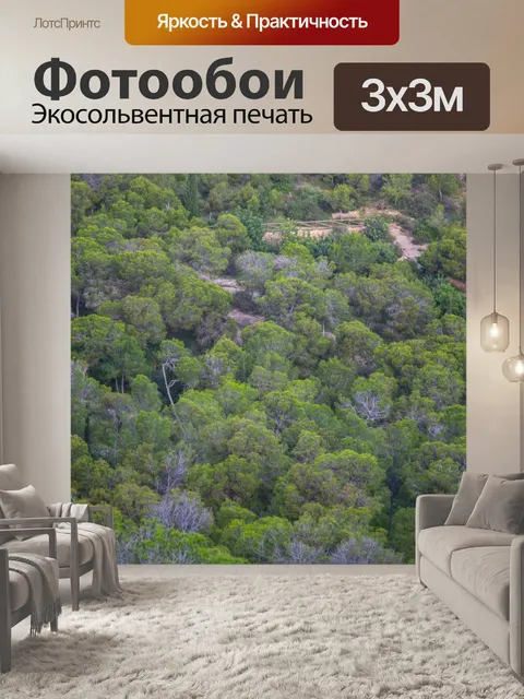Фотообои Зеленое дерево