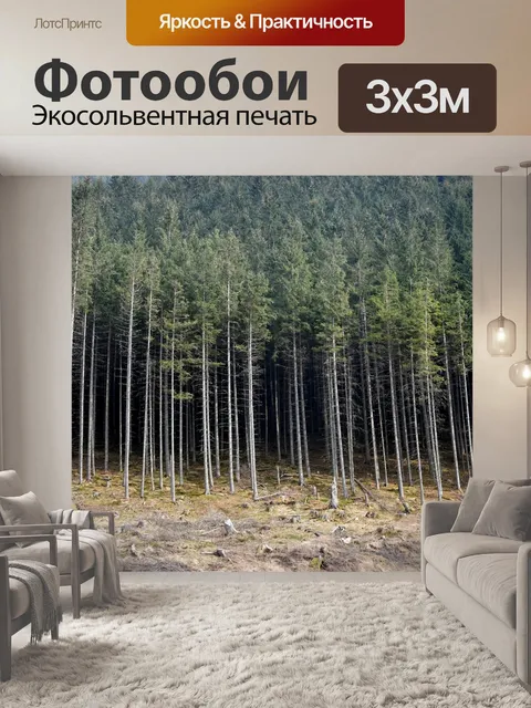Фотообои Лес