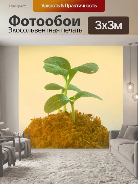 Фотообои Молодое дерево