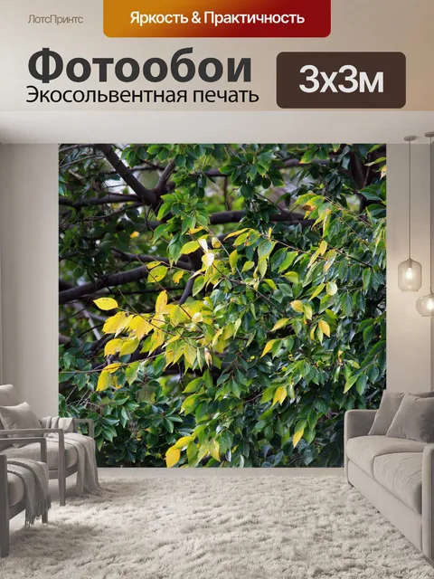 Фотообои свет на пожелтевших листьев