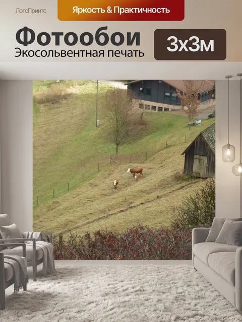 Фотообои Луг