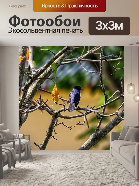 Фотообои Животное