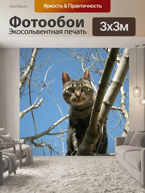 Фотообои Кошка