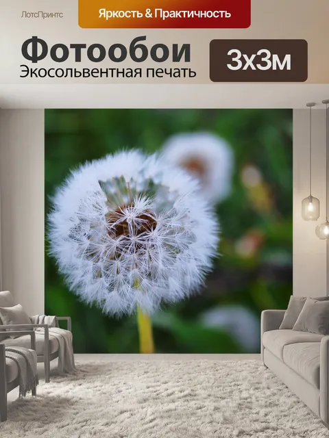 Фотообои Природа