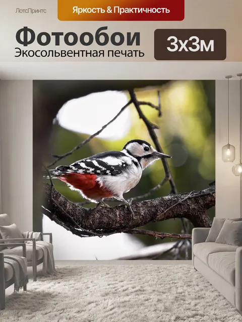 Фотообои Животное