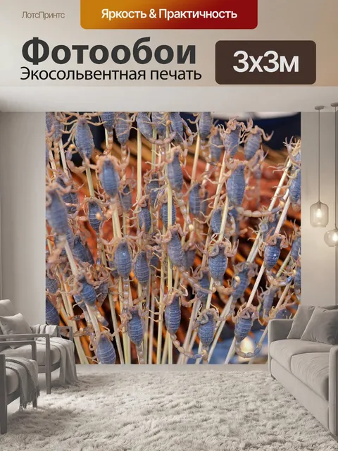 Фотообои Еда