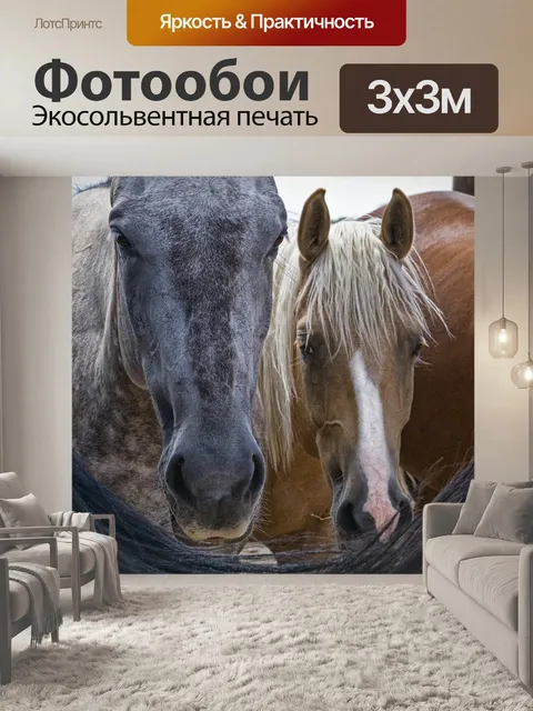 Фотообои Лошади
