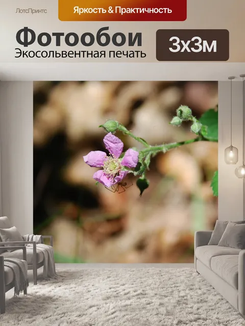 Фотообои Цвести