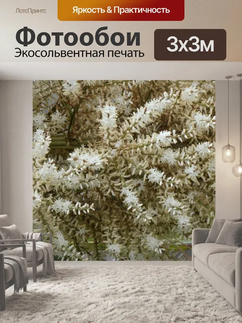 Фотообои Финиковая пальма весной