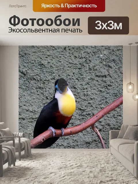 Фотообои Птица