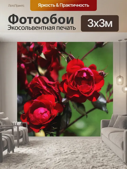 Фотообои Розы
