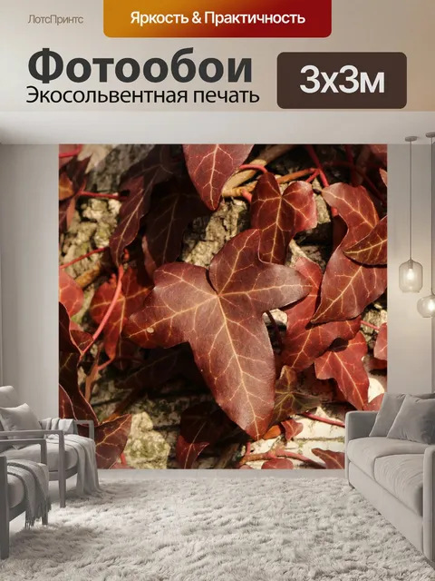 Фотообои Лист