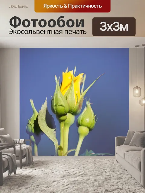 Фотообои Цветок