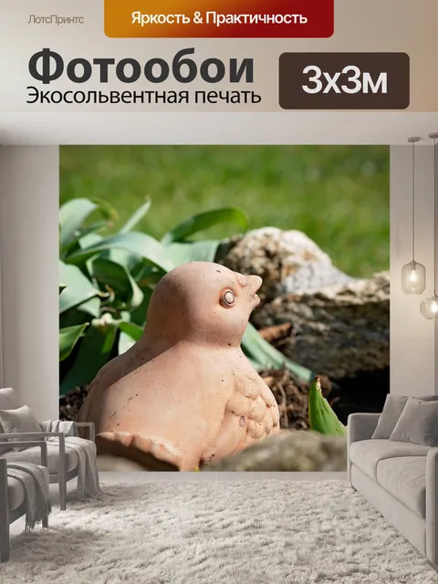 Фотообои Птица