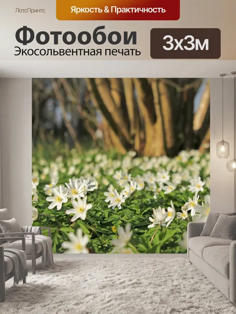 Фотообои Древесные анемоны