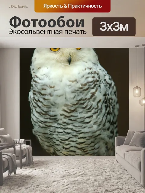 Фотообои Птица