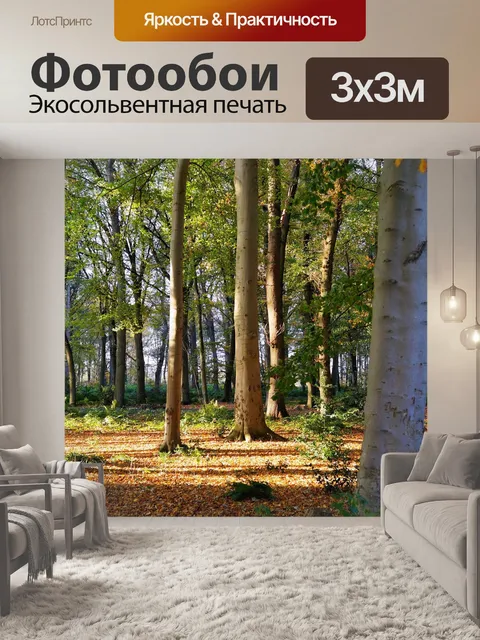 Фотообои Лес