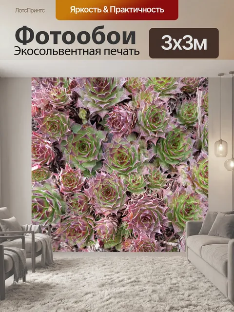 Фотообои Цветы