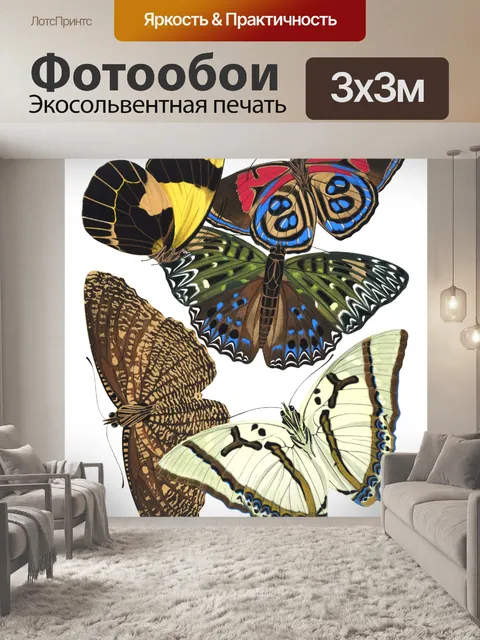 Фотообои Бабочки Винтаж