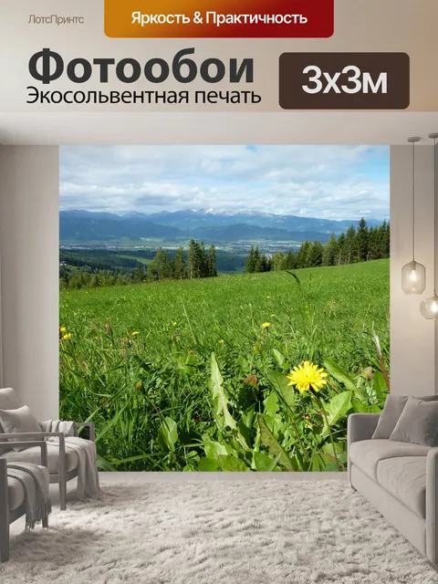 Фотообои Одуванчик