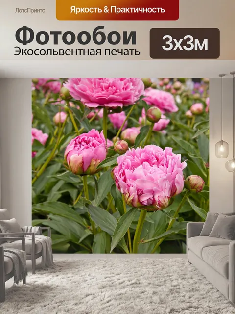 Фотообои Пион весенние цветы