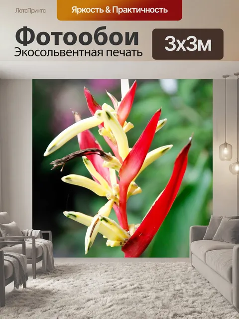 Фотообои Орхидеи