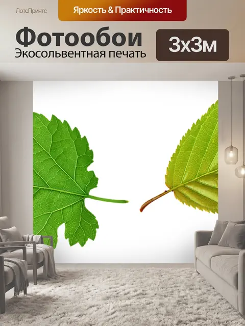 Фотообои Лист