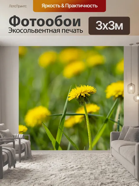 Фотообои Одуванчик