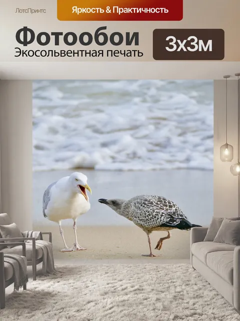 Фотообои Птица