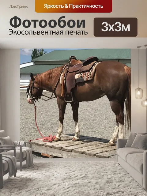 Фотообои Лошадь